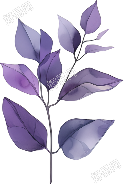 水彩植物PNG插画