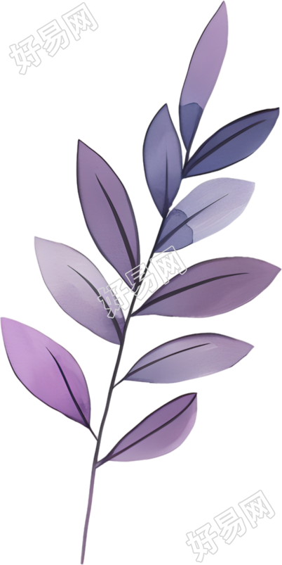 水彩植物PNG插图