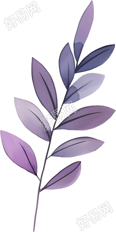水彩植物PNG插图