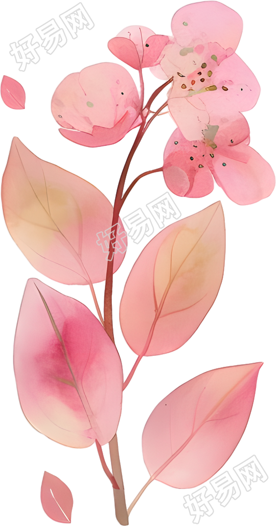 水彩植物简约元素