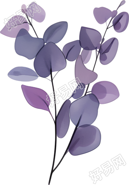 水彩植物简约插画