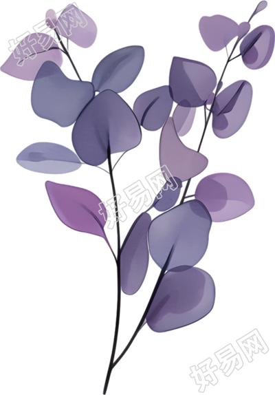 水彩植物简约插画