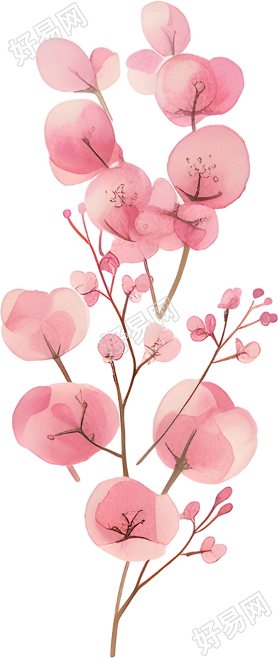 水彩植物唯美素材