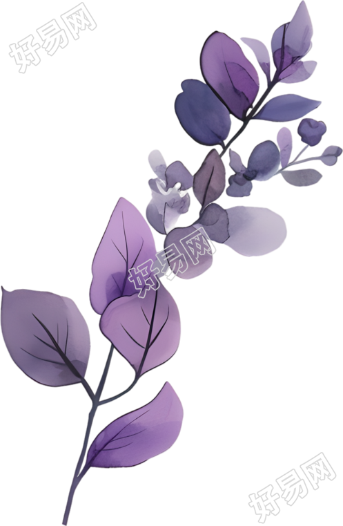 水彩植物唯美插图