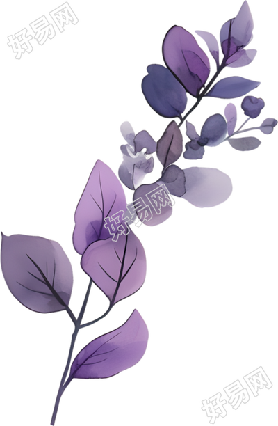 水彩植物唯美插图