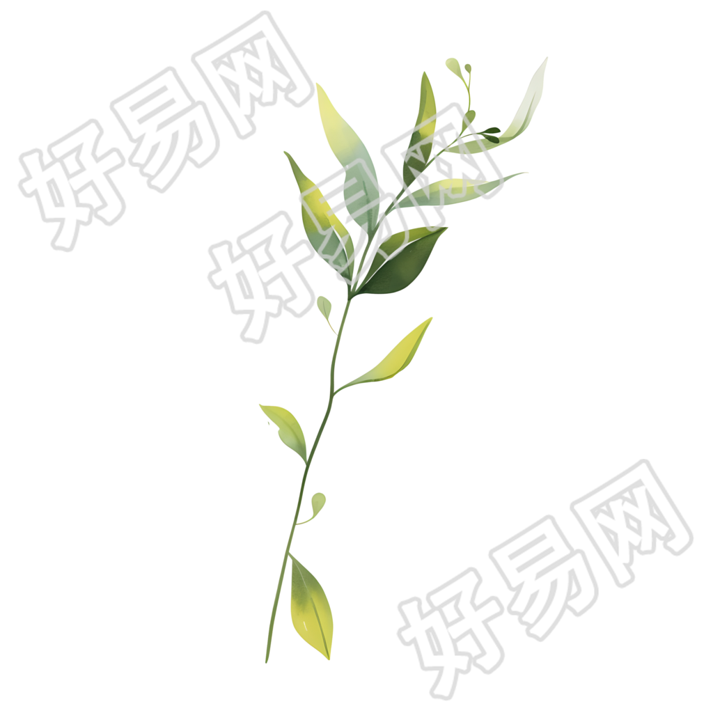 水彩植物商用插画