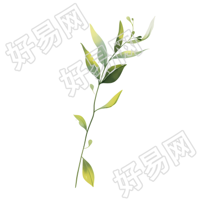 水彩植物商用插画
