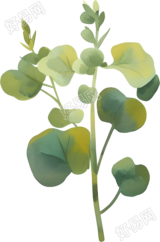 水彩植物商用插图