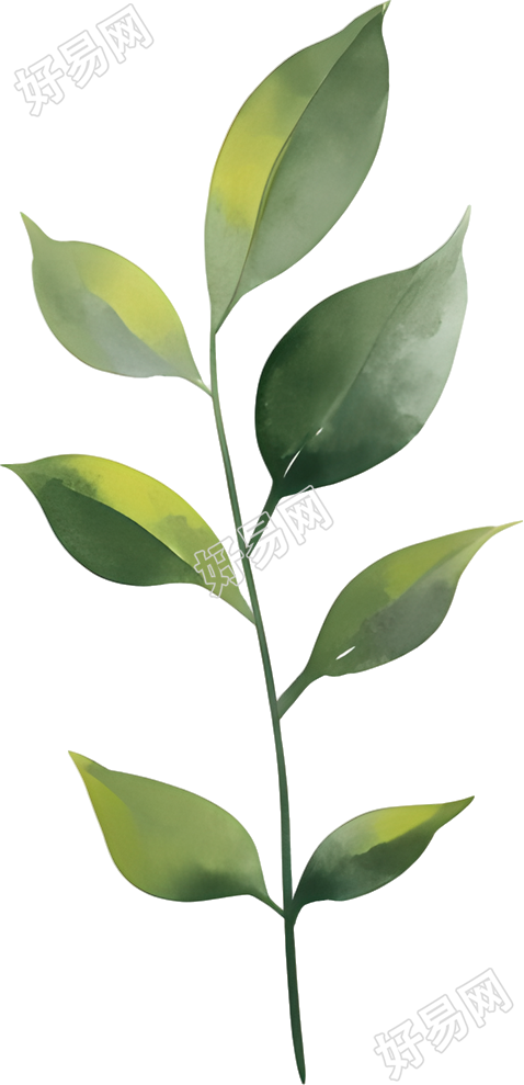 水彩植物透明背景素材