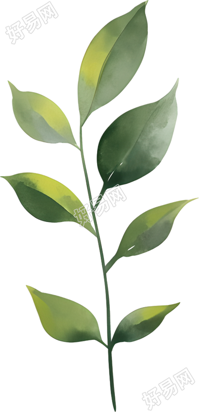水彩植物透明背景素材
