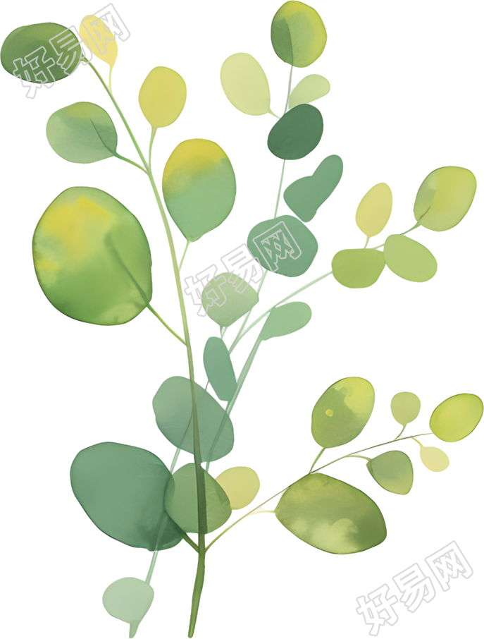 水彩植物透明背景插画