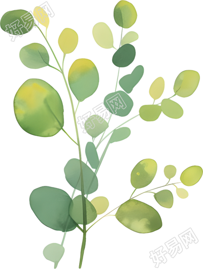 水彩植物透明背景插画