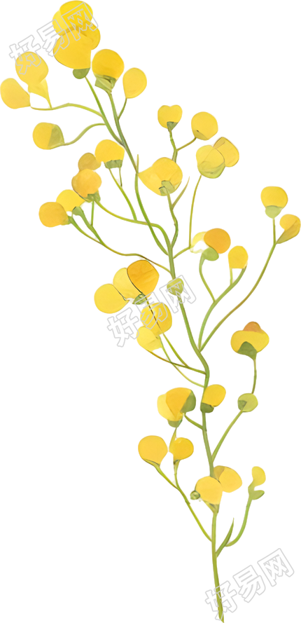 水彩小黄花创意插图
