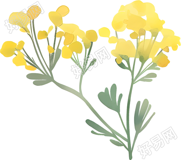 水彩小黄花创意素材