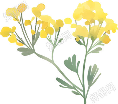 水彩小黄花创意素材
