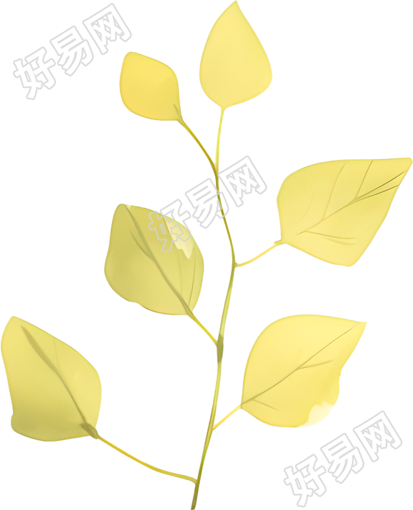 水彩植物极简素材
