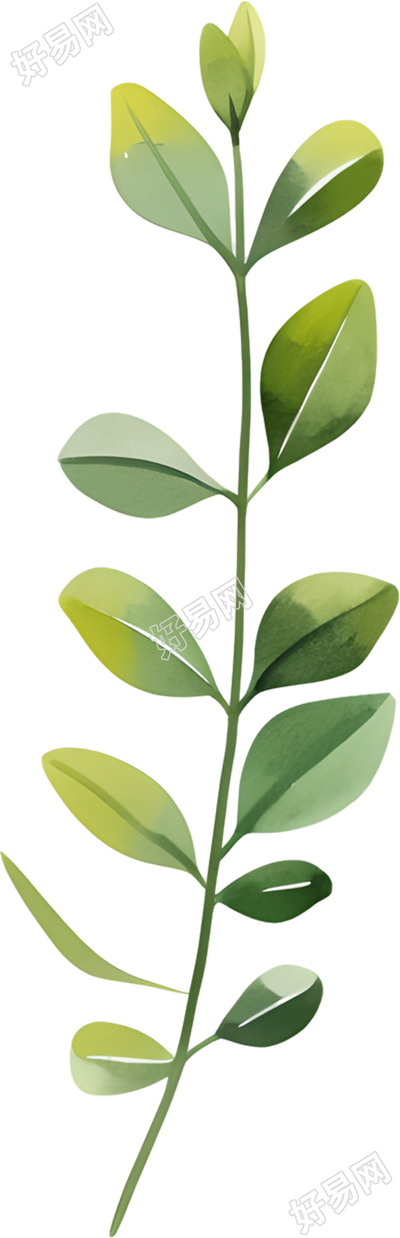 水彩植物创意设计元素