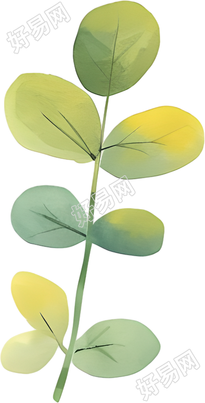 水彩植物创意设计素材