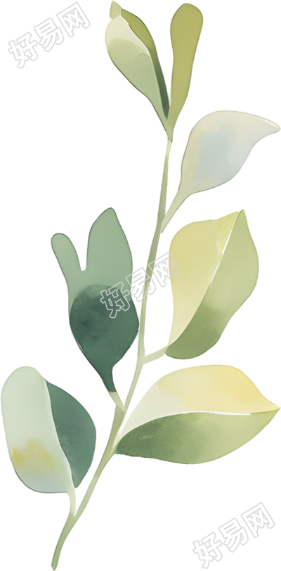 水彩植物创意设计插画