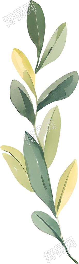 水彩植物创意设计插图