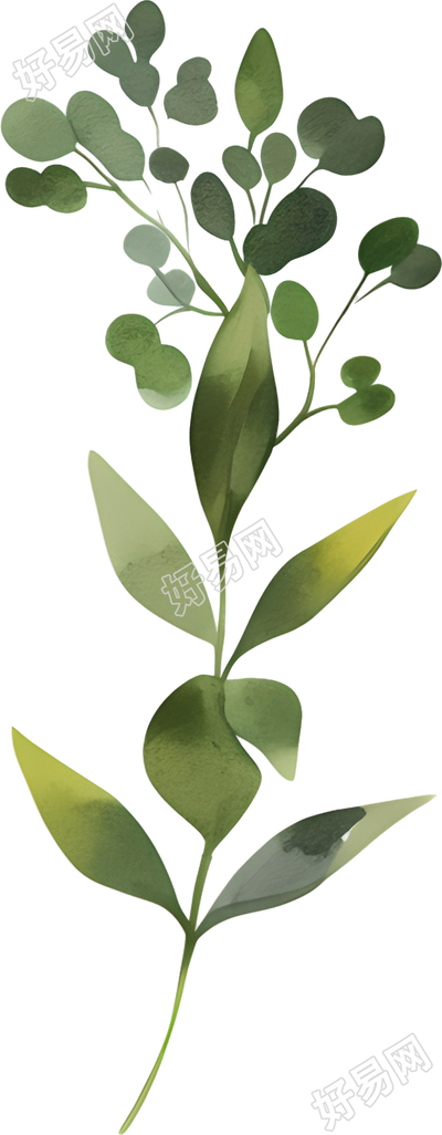 水彩植物图案插图