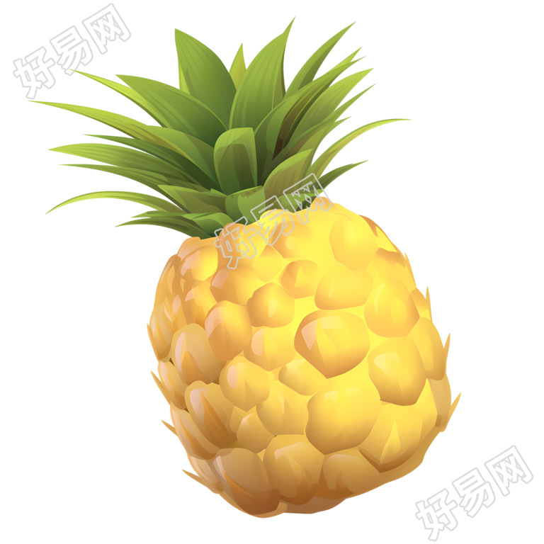 凤梨插画素材
