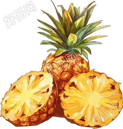 凤梨高清矢量插图