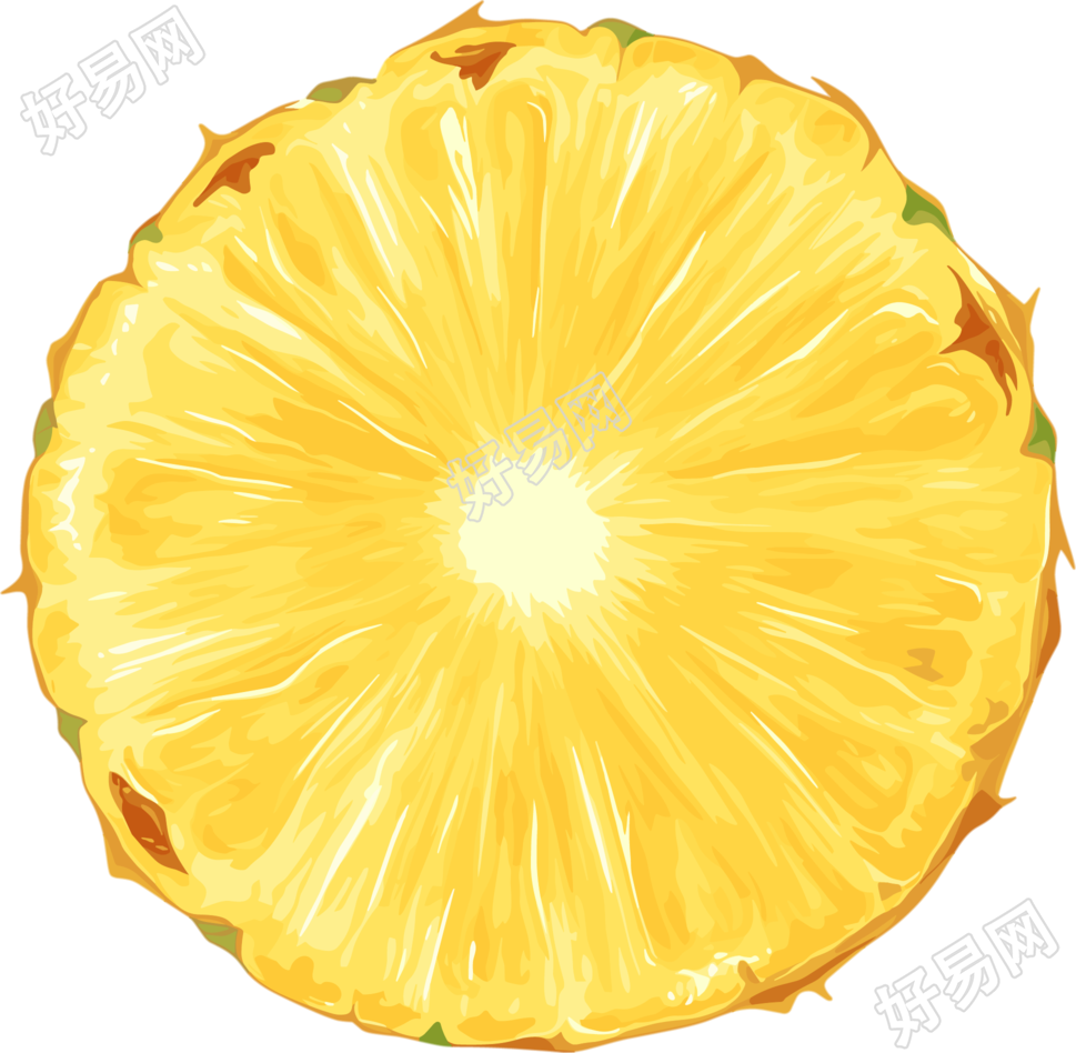 菠萝切片素材