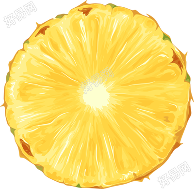 菠萝切片素材