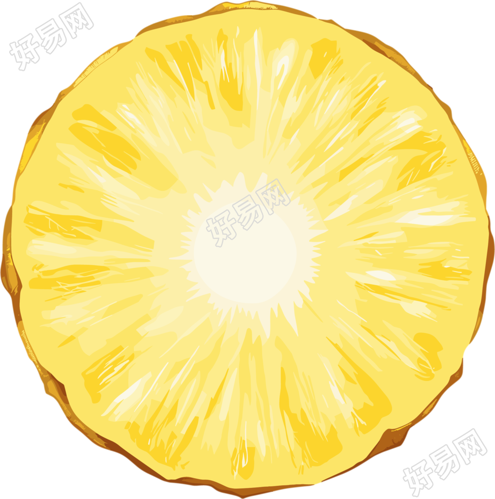 菠萝切片元素