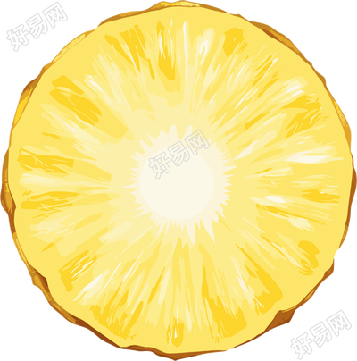 菠萝切片元素
