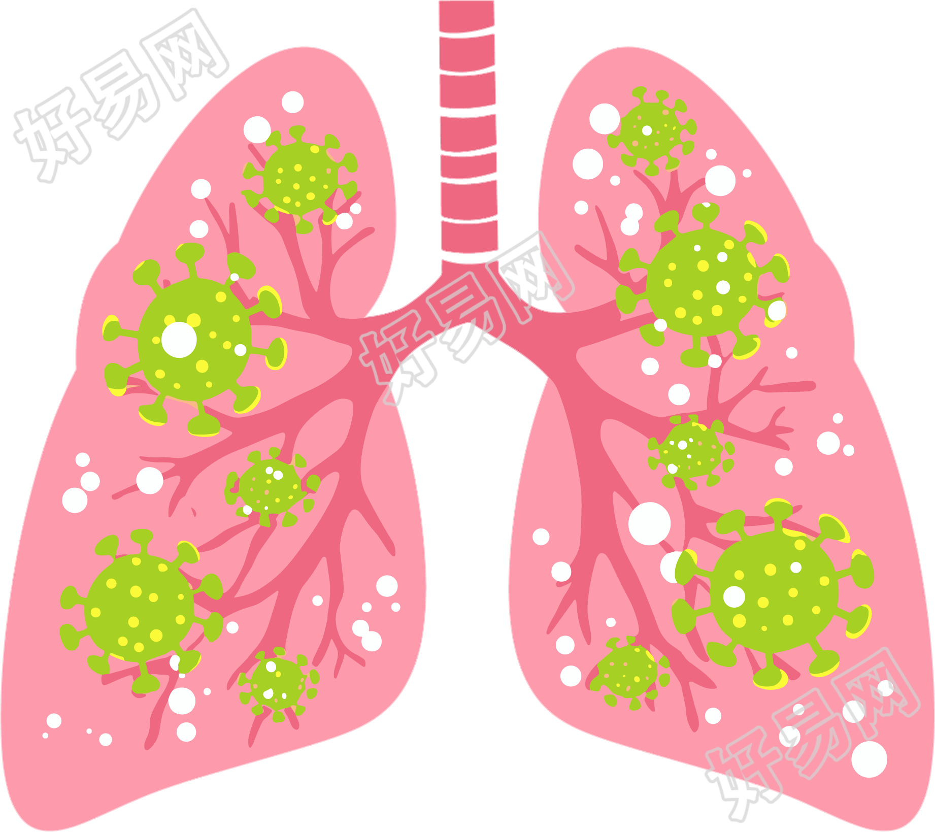 肺细菌商业设计素材