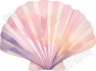 水彩扇贝元素