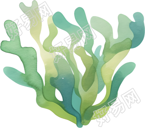 水彩水草创意插图