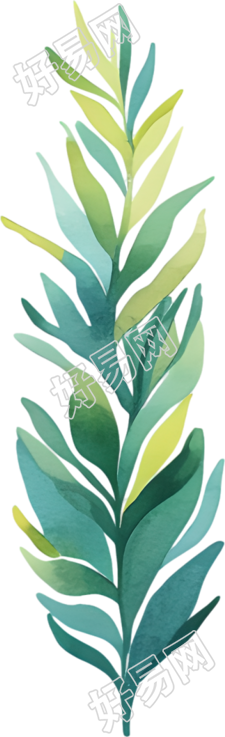 水彩水草商用素材