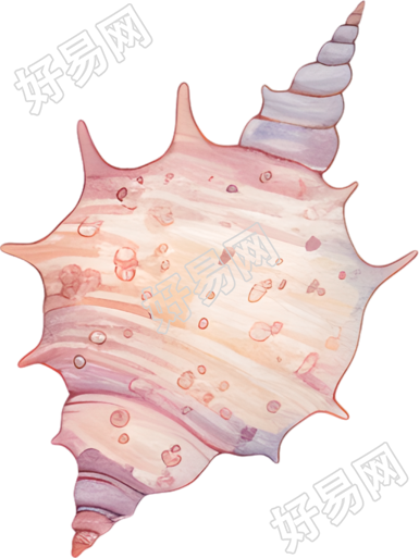 水彩海螺插图
