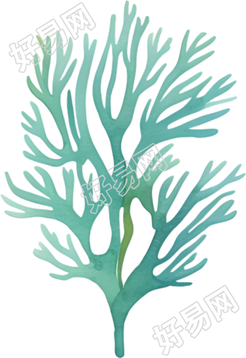 水彩珊瑚插画