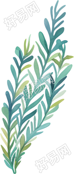 水彩水草插画
