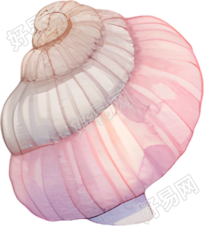 水彩海螺插图素材