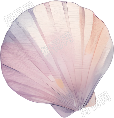 水彩扇贝插画设计元素