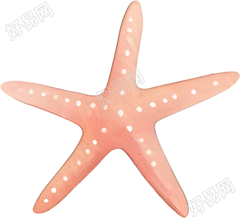 水彩海星插图
