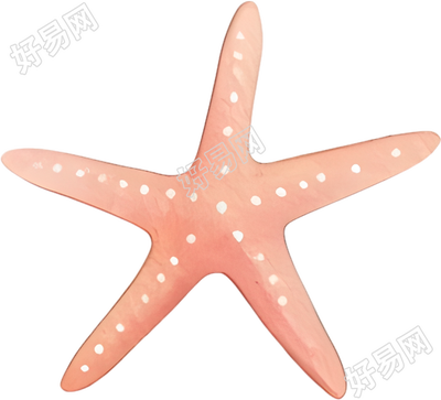 水彩海星插图