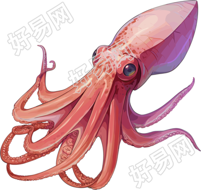 鱿鱼插画设计素材