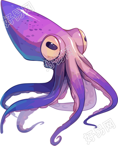 鱿鱼透明背景插图