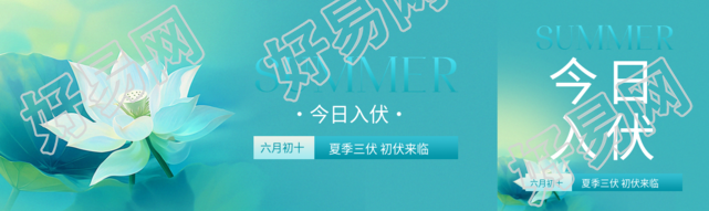 今日入伏弥散风公众号封面图