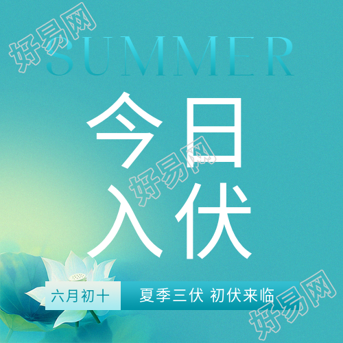 今日入伏清冷荷花微信公众号次图