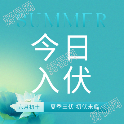 今日入伏清冷荷花微信公众号次图