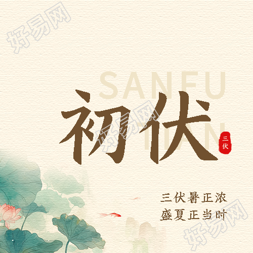 初伏简约锦鲤微信公众号次图
