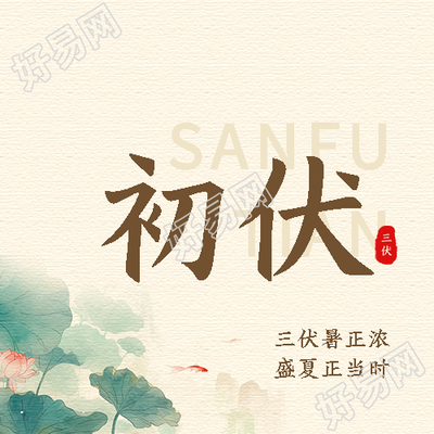 初伏简约锦鲤微信公众号次图