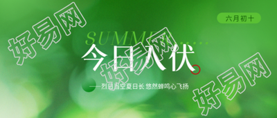 今日入伏绿色光影微信公众号首图